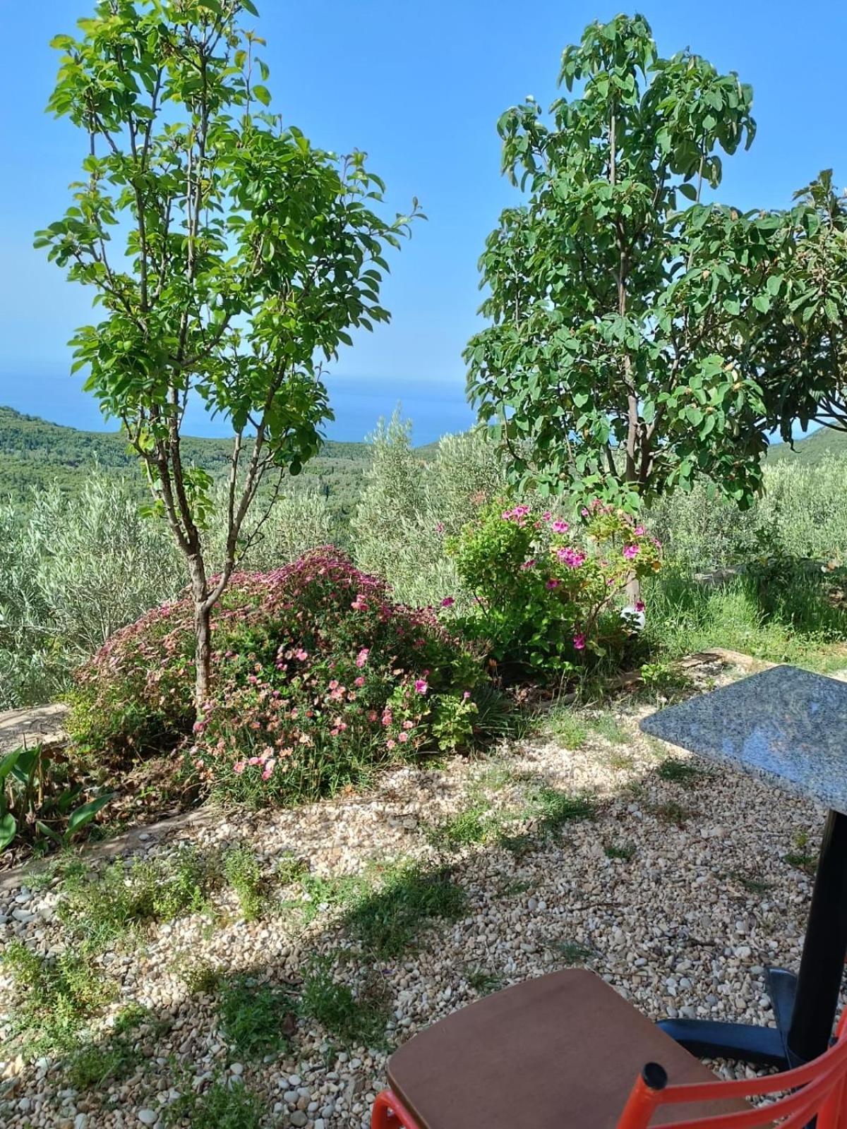 Vila Aleks Vuno Exterior photo
